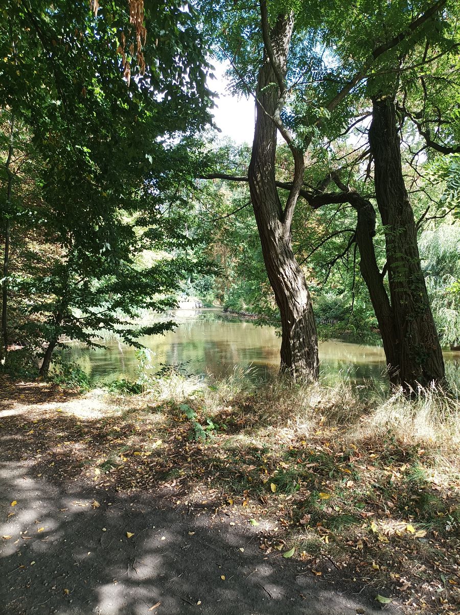 Literarisch-Musikalischer Spaziergang durch den Schlosspark Jahnishausen